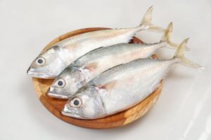 jenis-jenis ikan