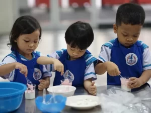 perbedaan tk dan paud