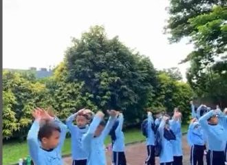 Ide Sekolah Forest School